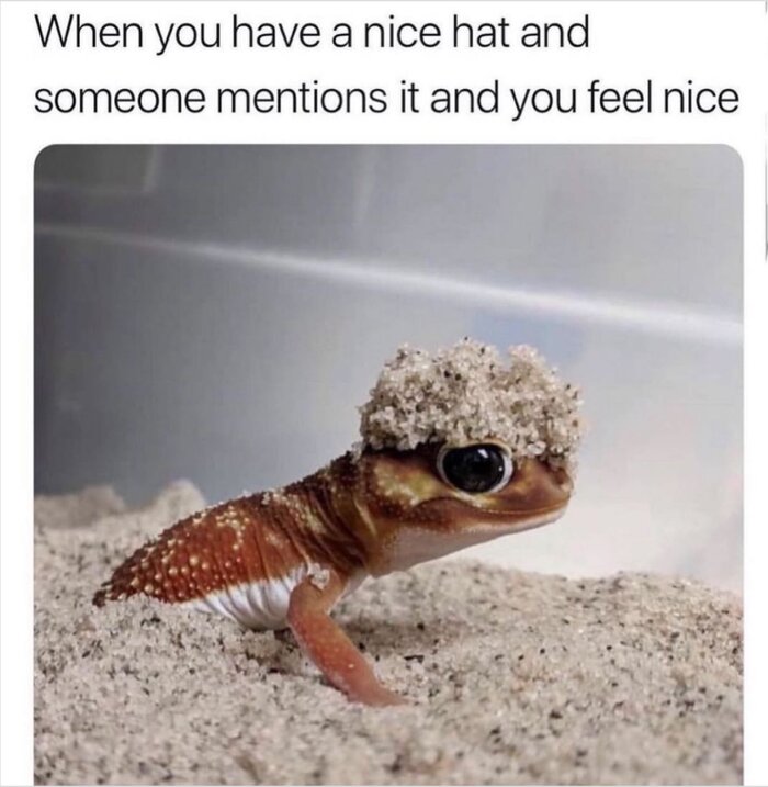 Asos hat meme (1)