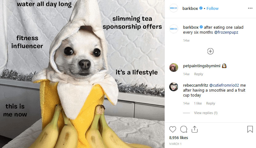 barkbox meme marketing